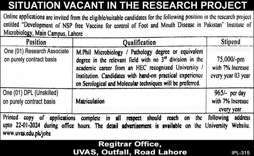 UVAS Job Lahore 2024 apply online 