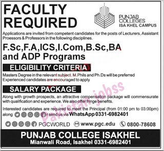 Punjab College Jobs 2024 apply online